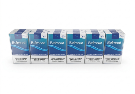 BRAZO BELMONT PEQ X 12